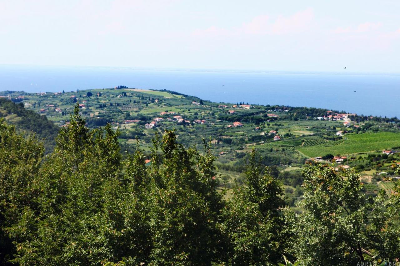 Garden Mira Izola